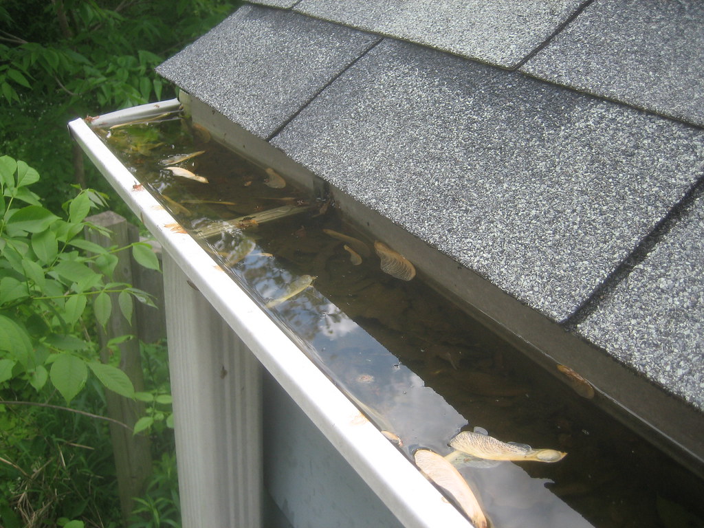 JNC Gutter Cleaners Business Overview
