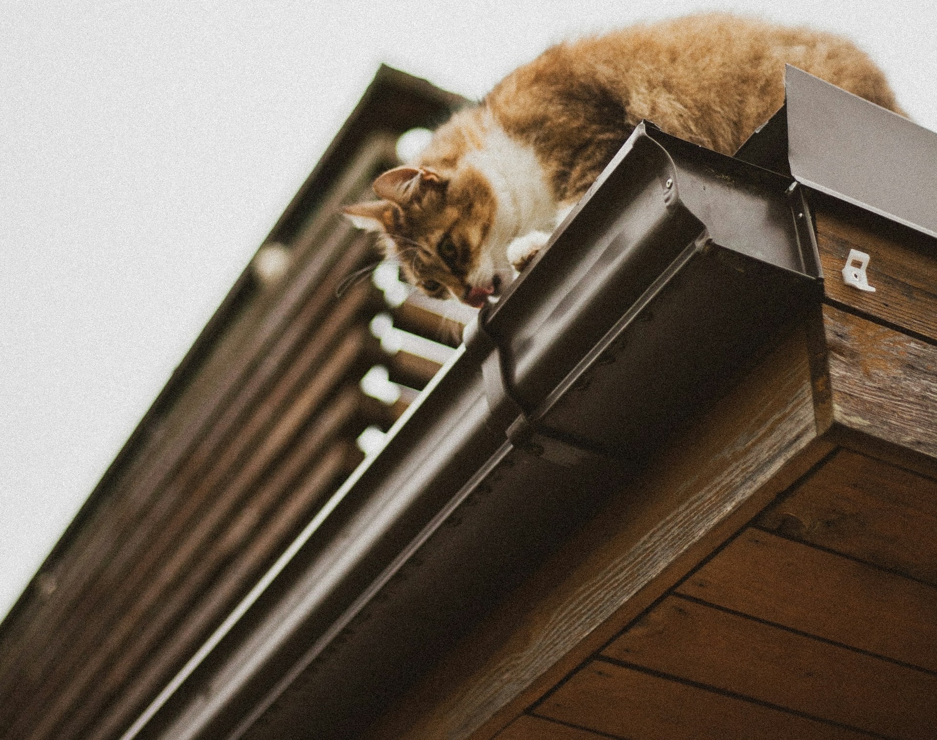 Aluminum vs. Stainless Steel Gutter Guard Mesh Screens: How JNC Gutter Cleaners Protects Syracuse Homes From Clogs and Overflow