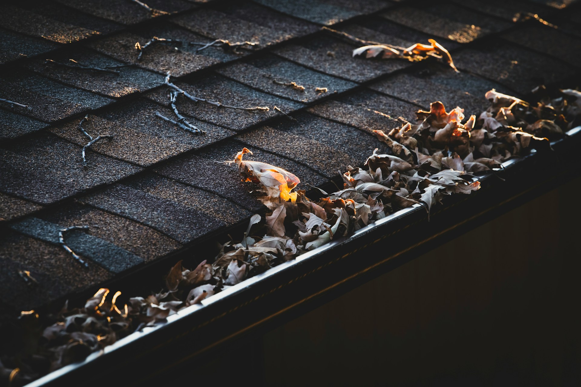 The Hidden Costs of Neglected Gutters: How Proactive Maintenance Protects Your Home from Foundation to Roof