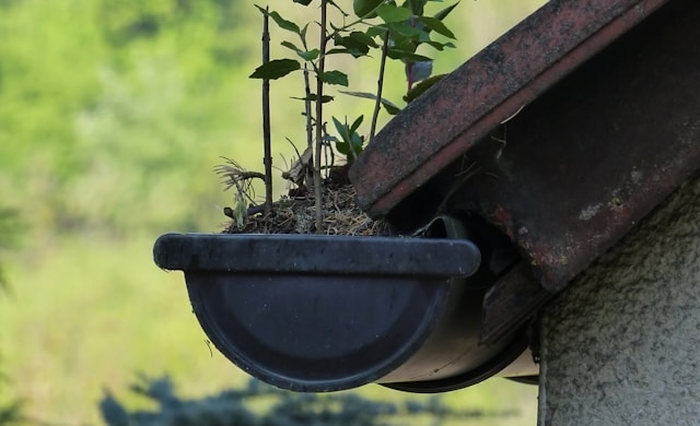 Top Signs Your Gutters Need Repair — And How JNC Gutter Cleaners Can Help